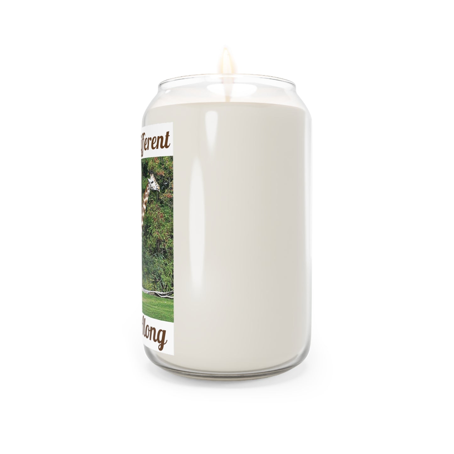 Giraffe & Zebra Get Along - Candles