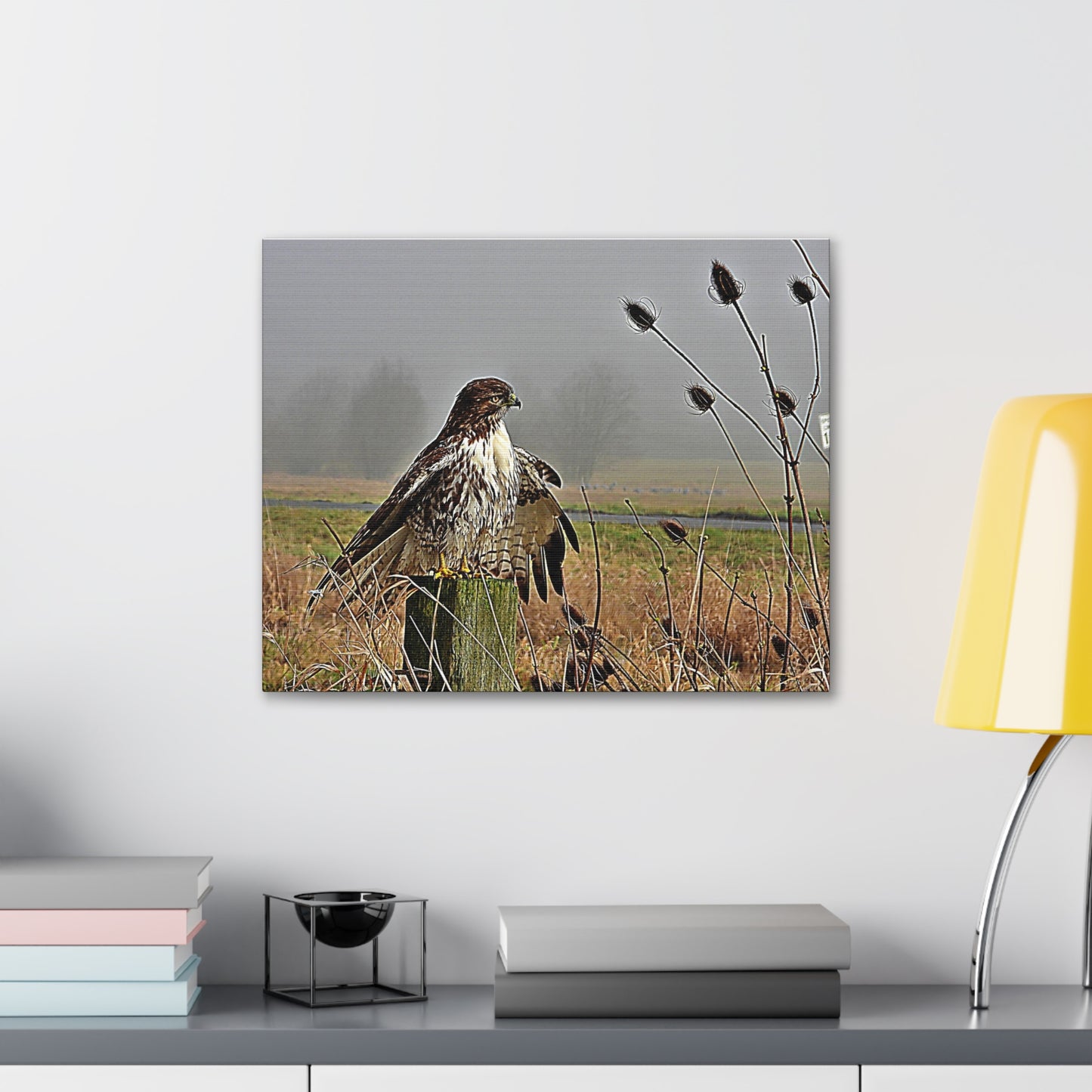 Red Tail Hawk & Thistle - Canvas Gallery Wrap