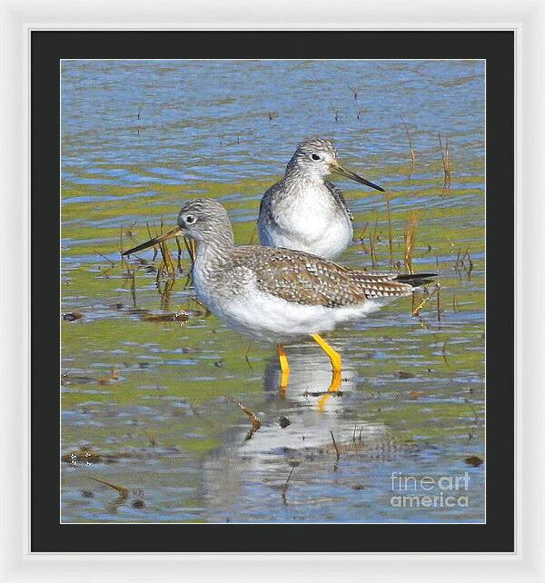 2 Yellow Legs - Framed Print