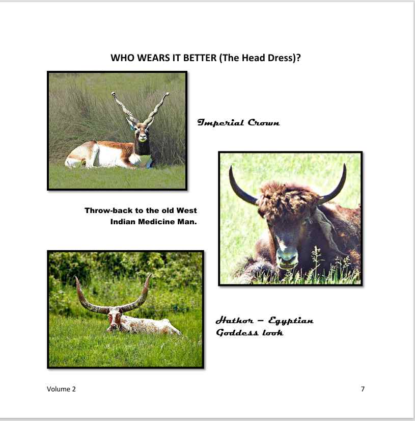 The Wonderfully Wacky World of those Crazy Critters & More Around Us! - Vol. 2