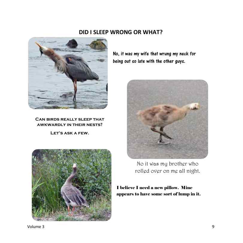 The Wonderfully Wacky World of those Crazy Critters & More Around Us! - Vol. 3