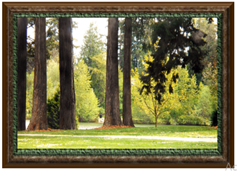 Wapato Park - Greeting Card