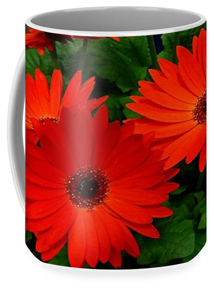 Red Gerbers - Mug