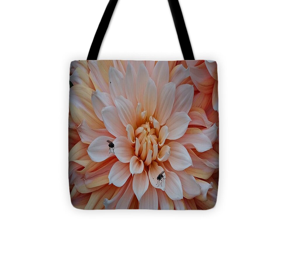 Dahlia Flies - Tote Bag