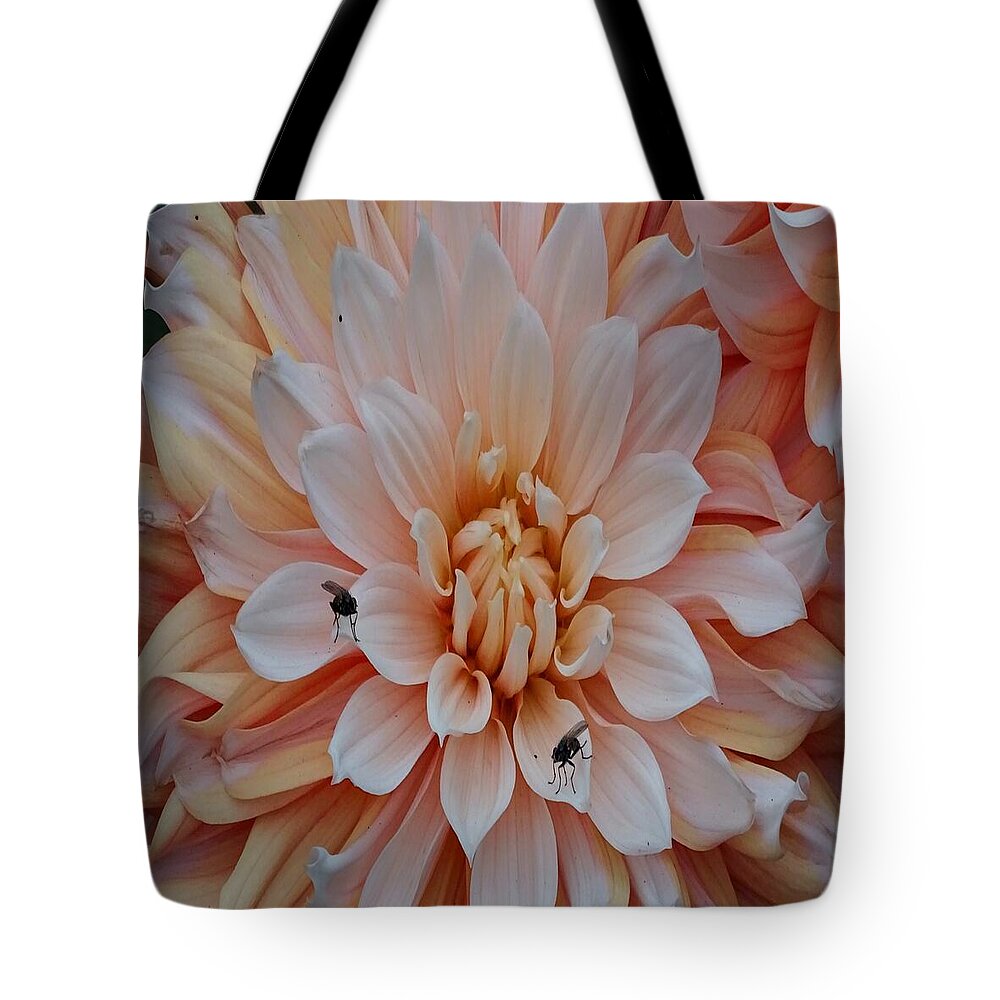 Dahlia Flies - Tote Bag