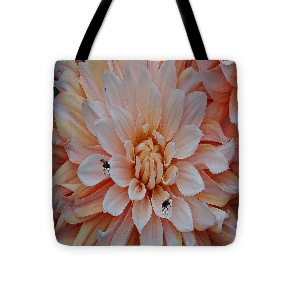 Dahlia Flies - Tote Bag