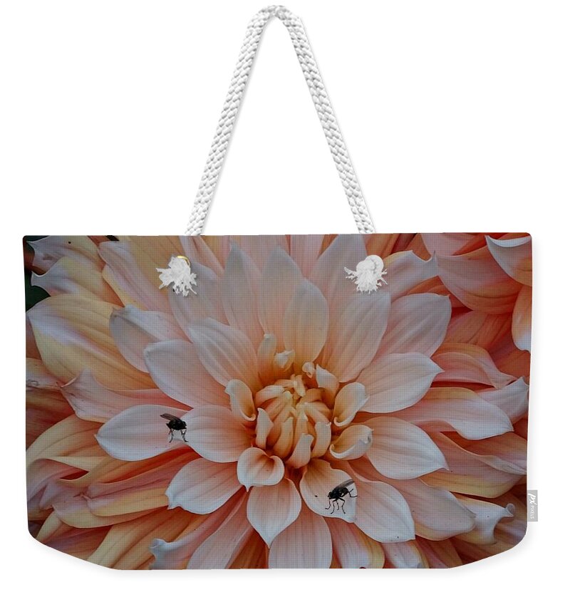 Dahlia Flies - Weekender Tote Bag