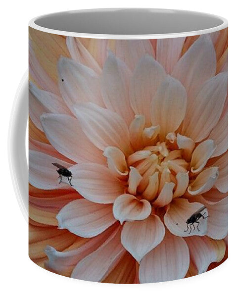 Dahlia Flies - Mug