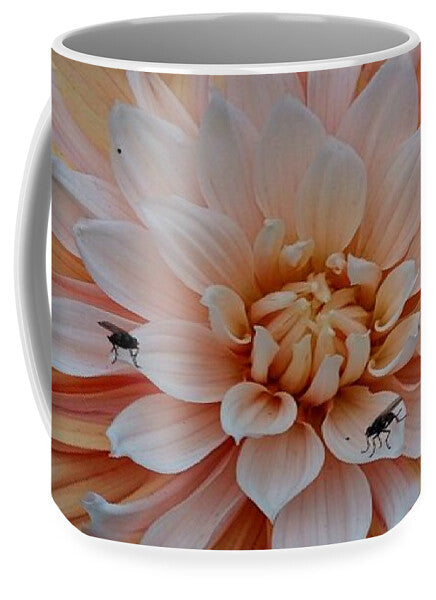 Dahlia Flies - Mug