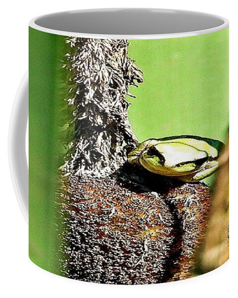 Frog on a Cattail - Mug