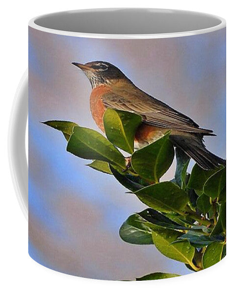 Morning Robin - Mug