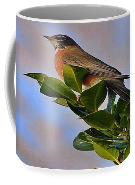 Morning Robin - Mug