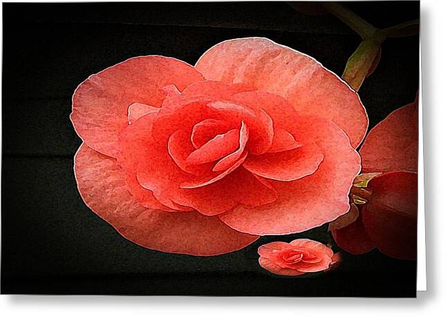Begonia Twin - Greeting Card