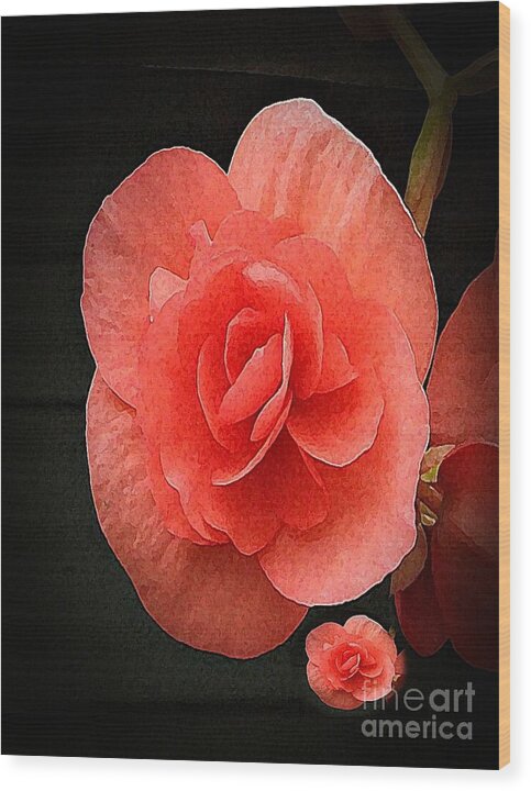 Begonia Twin - Wood Print