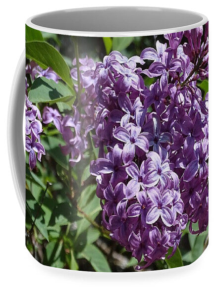 Chinensis - Mug