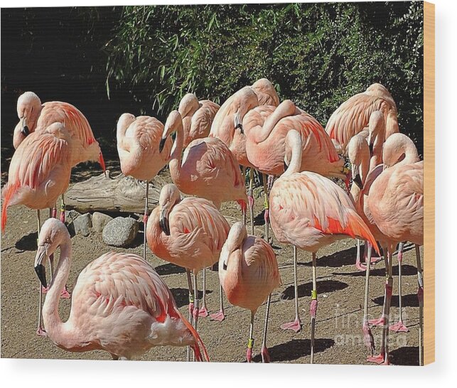 Pink Flock - Wood Print