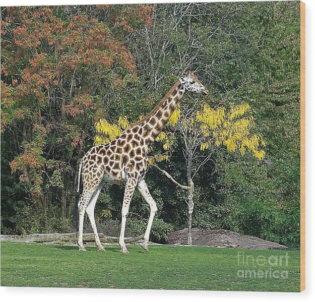 StandingTall - Wood Print