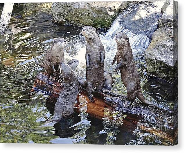 What's Up - Canvas Print