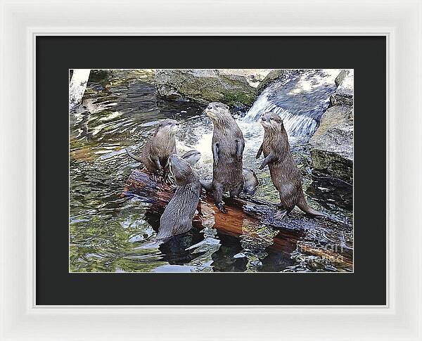What's Up - Framed Print