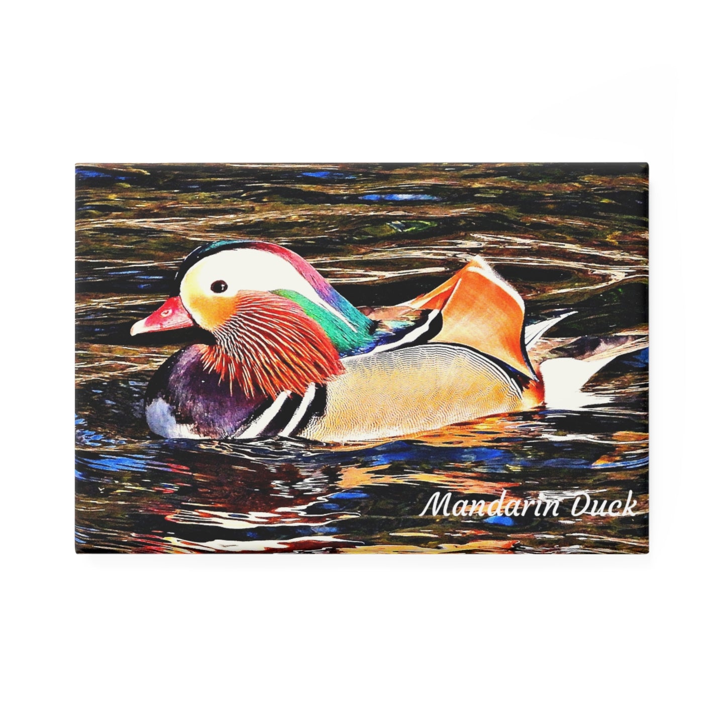 Mandarin Duck - Refrigerator Magnet