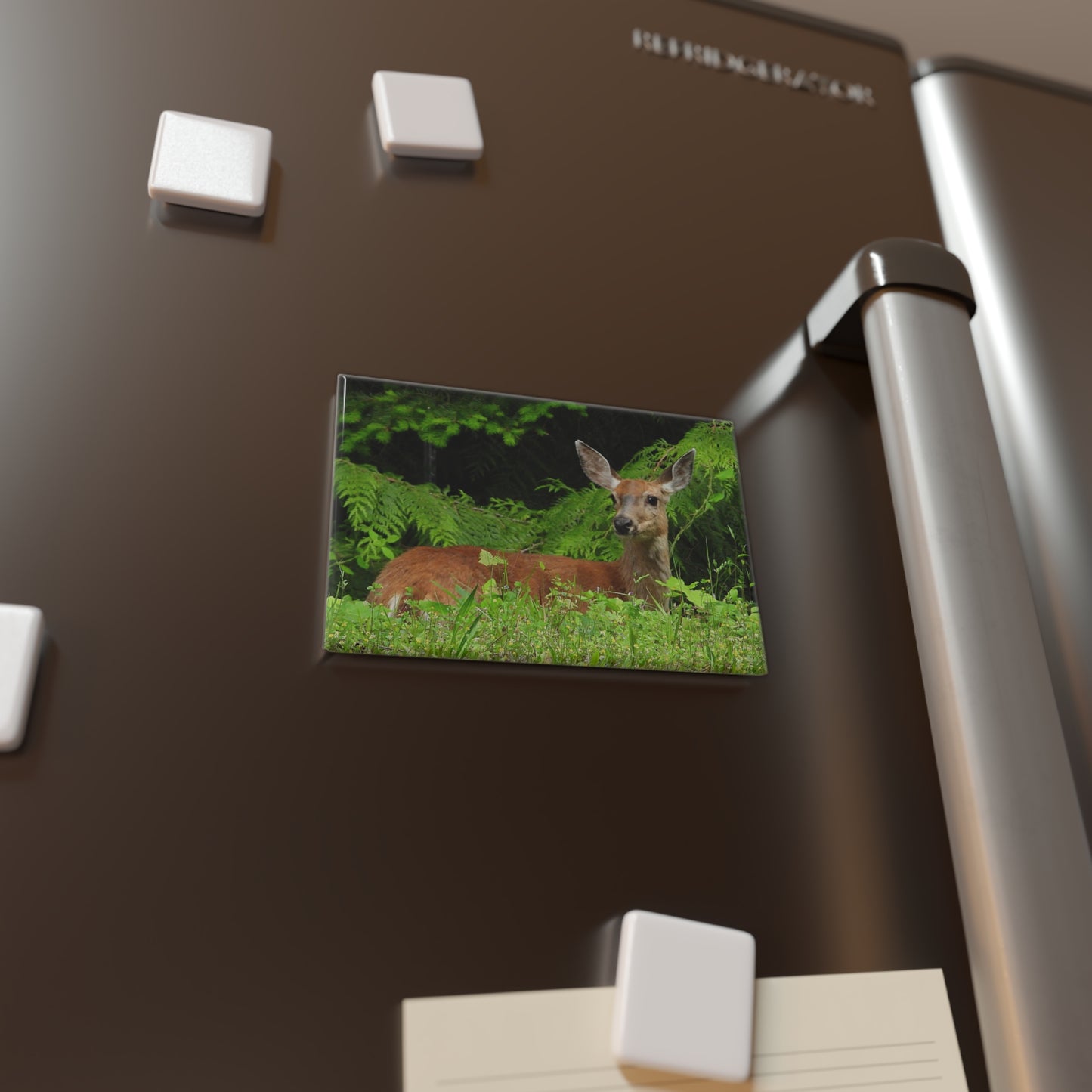 Deer Laying - Refrigerator Magnet