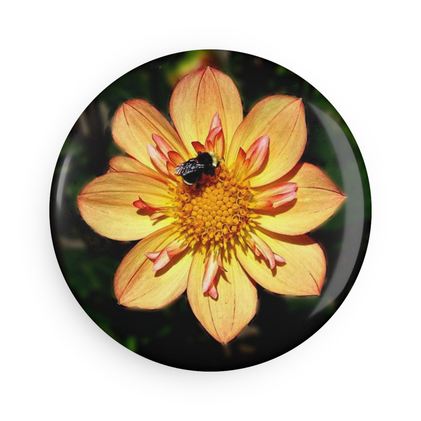 Dally Bee - Refrigerator Magnet