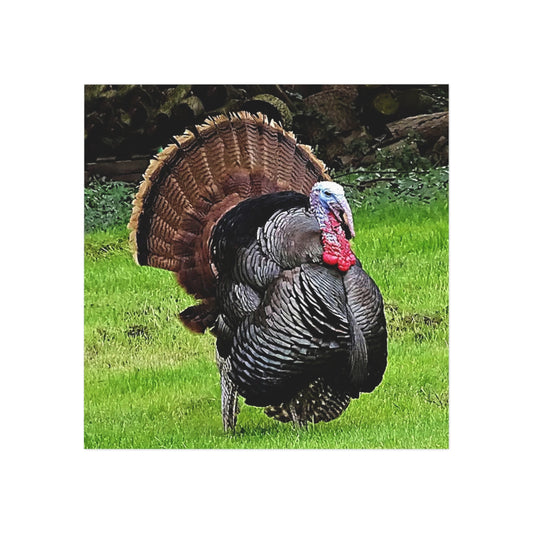 Turkey - Refrigerator Magnet