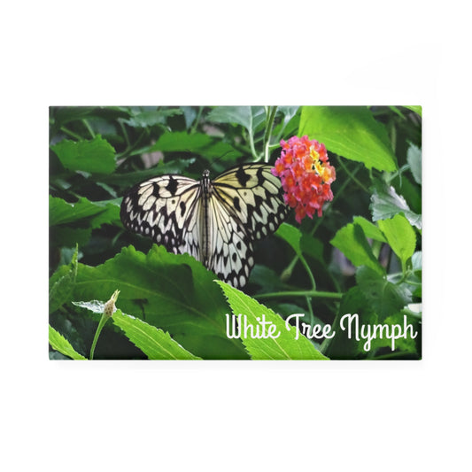 White Tree Nymph - Refrigerator Magnet