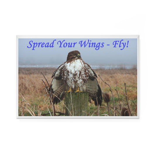 Red Tail Hawk - Spread Your Wings - Refrigerator Magnet