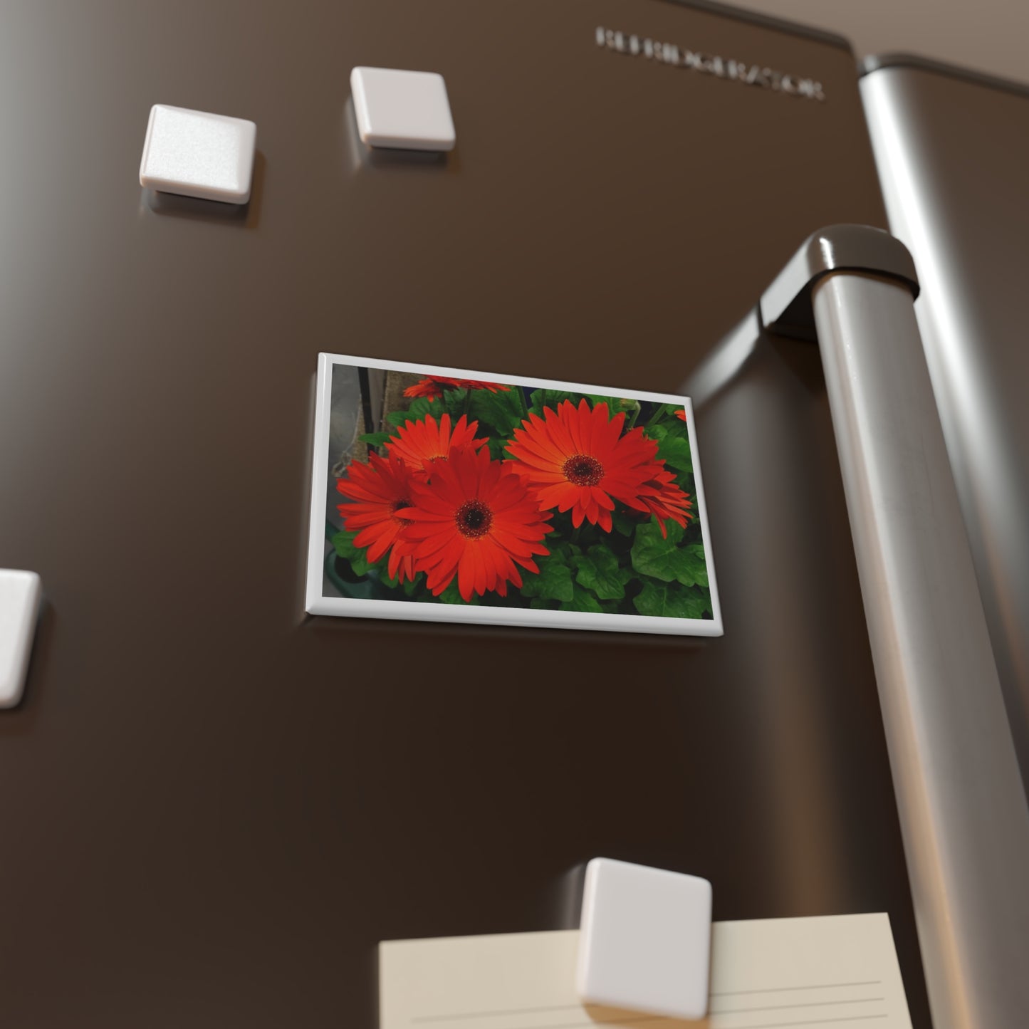 Daisies - Orange - Refrigerator Magnet