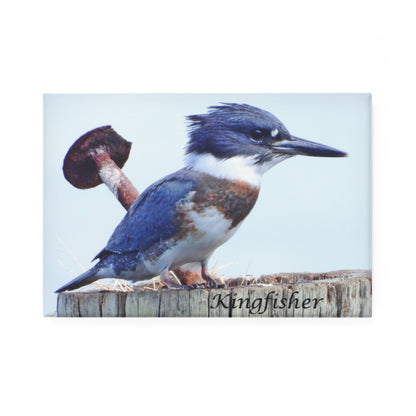 Kingfisher - Refrigerator Magnet