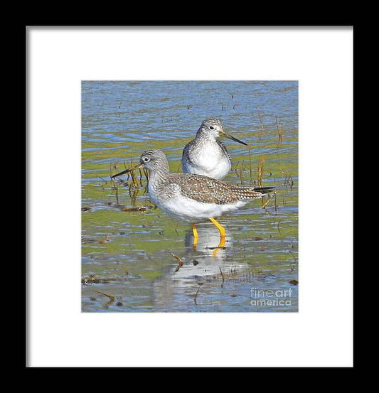 2 Yellow Legs - Framed Print