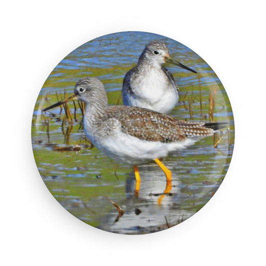 2 Yellow Legs - Refrigerator Magnet