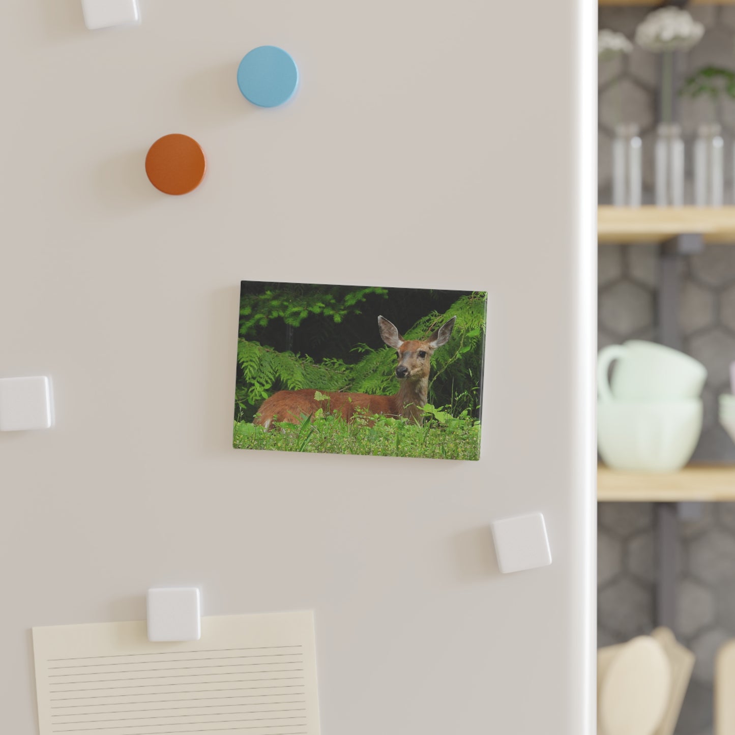 Deer Laying - Refrigerator Magnet