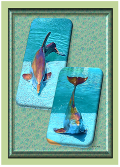 2 Dolphins - Greeting Card