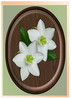 2 Whites - Greeting Card