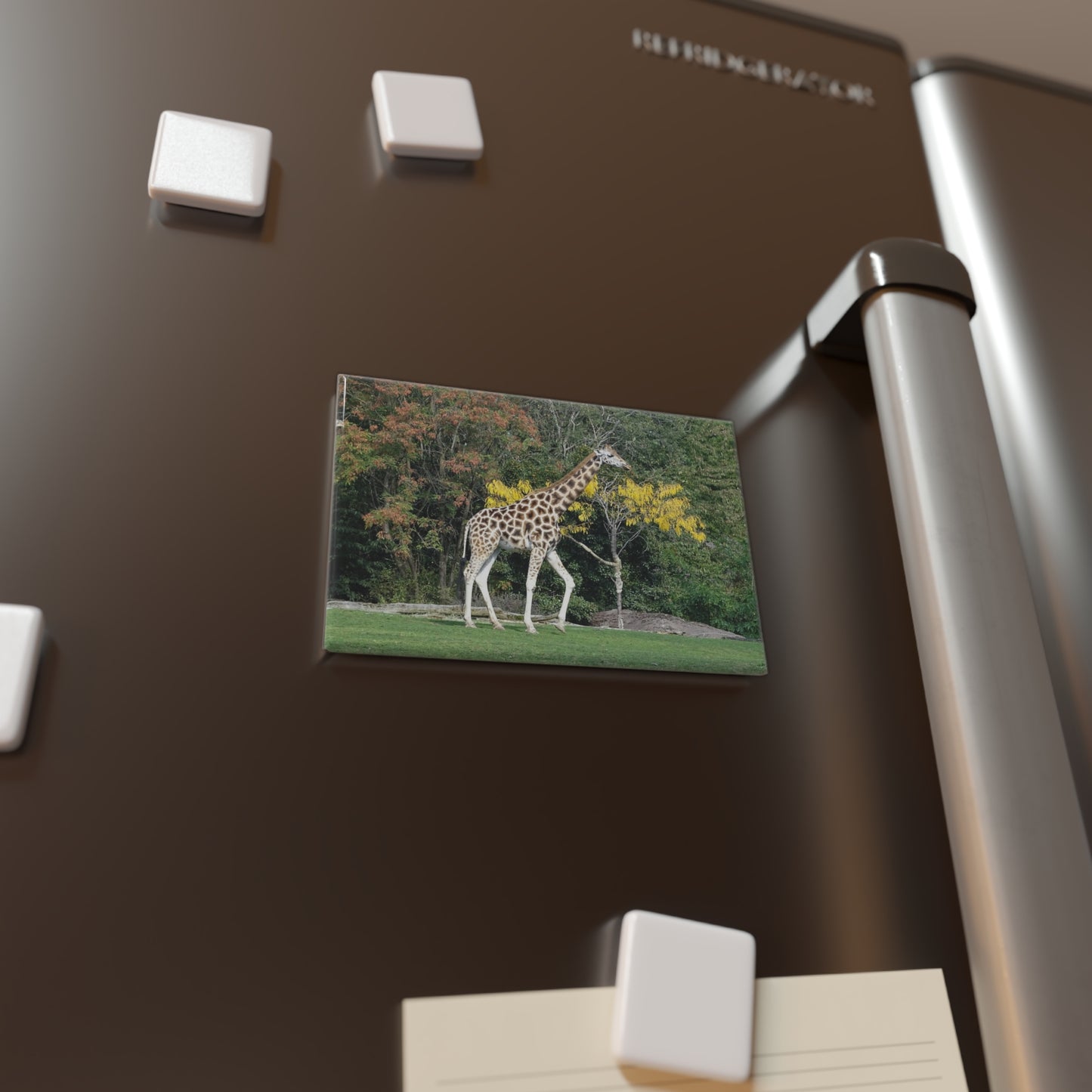 Giraffe - Tall Beauty - Refrigerator Magnet