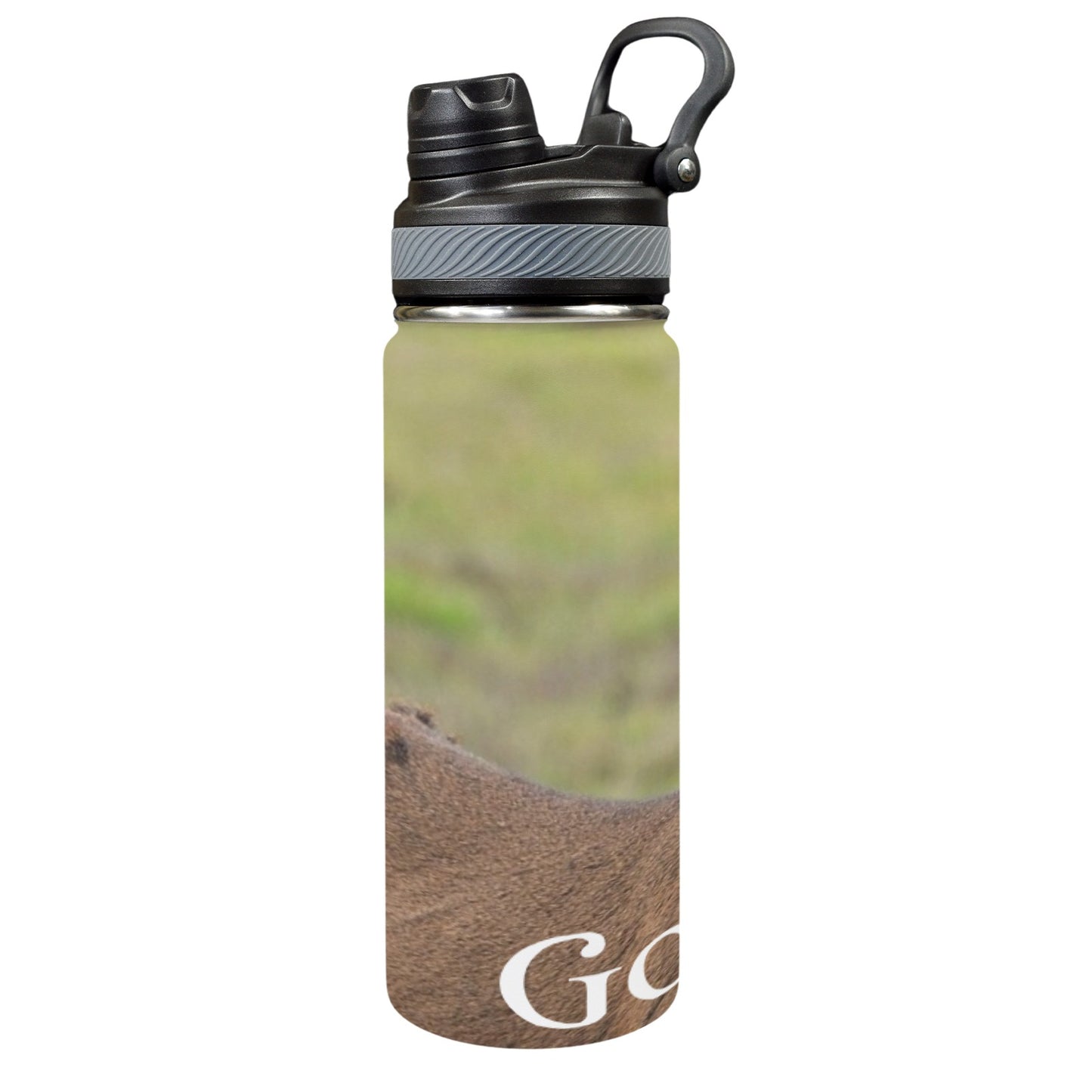 Gazing Deer - Water Bottle