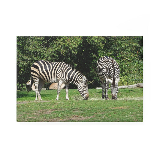 2 Zebras Grazing