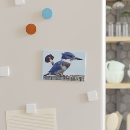 Kingfisher - Refrigerator Magnet