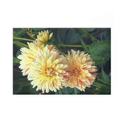 Dahlia - Creme & Red-Stripes - Refrigerator Magnet