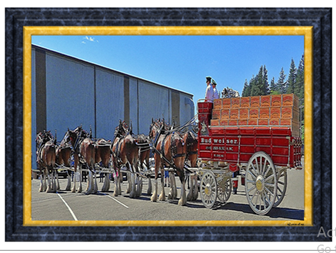 Budweiser Wagon - Clydesdales - Greeting Card