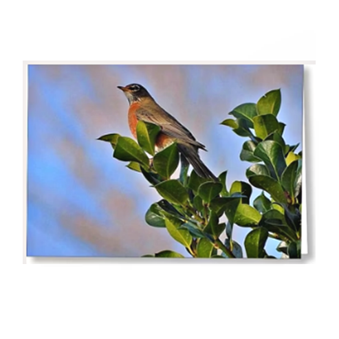 Greeting Cards