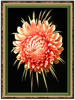 Dahlia Fireworks - Greeting Card