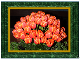 Red Yellow Tulips - Greeting Card