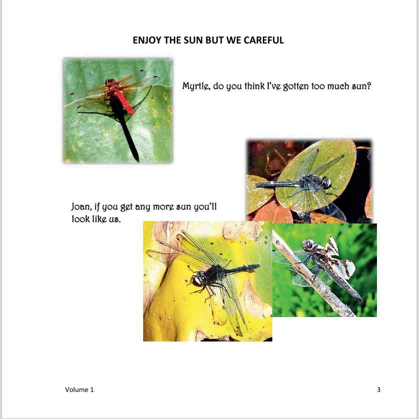 The Wonderfully Wacky World of those Crazy Critters & More Around Us! - Vol. 1