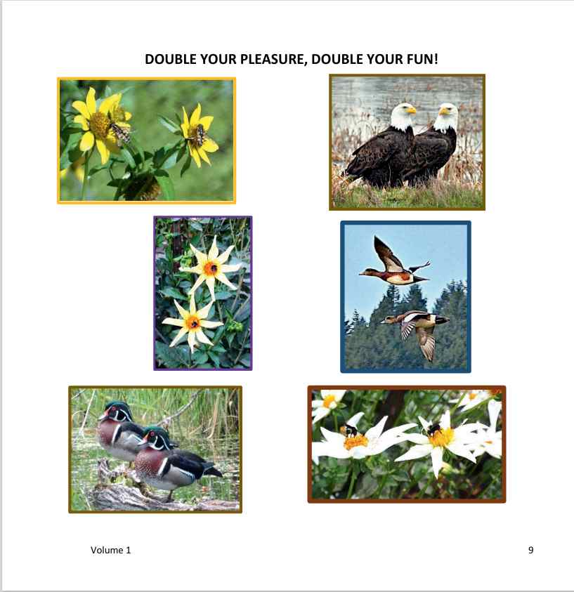 The Wonderfully Wacky World of those Crazy Critters & More Around Us! - Vol. 1