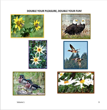 The Wonderfully Wacky World of those Crazy Critters & More Around Us! - Vol. 1