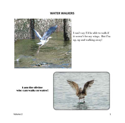 The Wonderfully Wacky World of those Crazy Critters & More Around Us! - Vol. 2