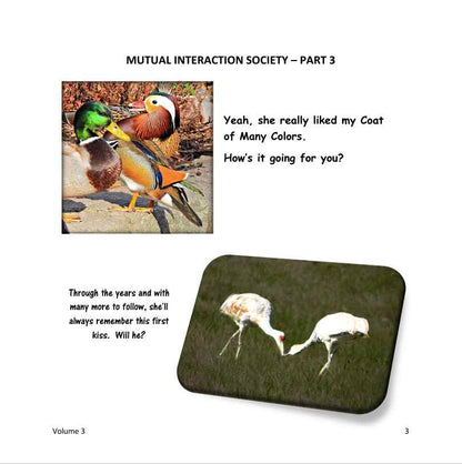 The Wonderfully Wacky World of those Crazy Critters & More Around Us! - Vol. 3
